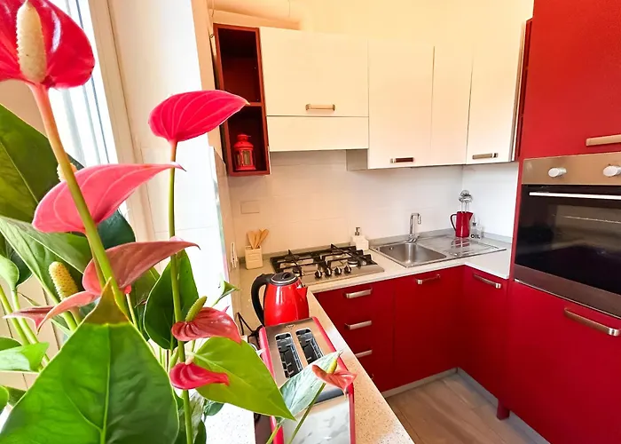 Casa Tigre